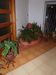 P1011736.jpg